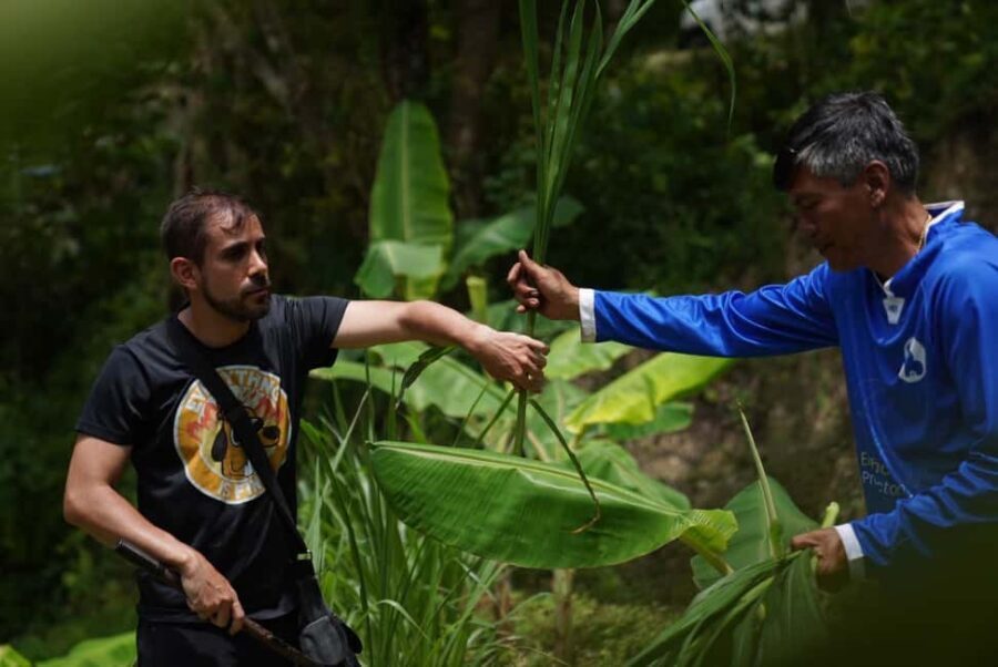 Phuket: Guide Tour to Patong Elephant Sanctuary - Why This Tour Offers Great Value