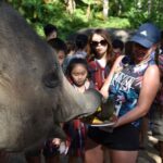 Phuket: Half Day or 2-Hour Ethical Elephant Care Sanctuary - More Details About the Experience