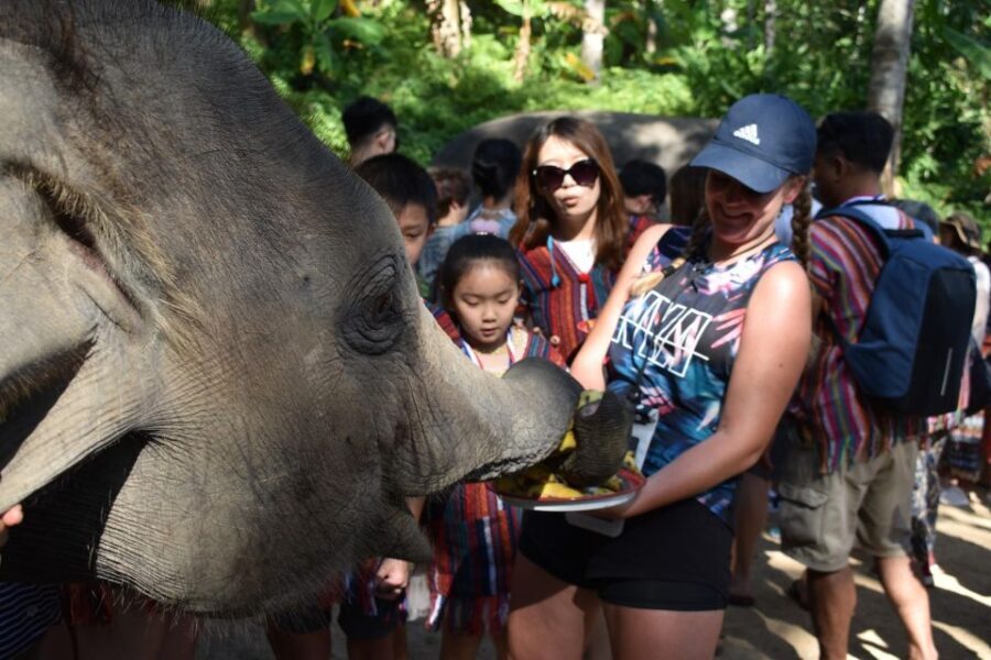 Phuket: Half Day or 2-Hour Ethical Elephant Care Sanctuary - More Details About the Experience