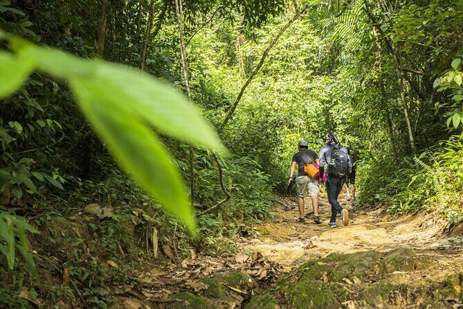 Phuket Jungle Trekking Experience at Khao Phra Taew National Park - Deep Dive into the Details