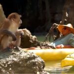 Phuket: Phang Nga,Hong & James Bond Islands by Big Boat - The Itinerary Breakdown