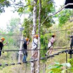 Phuket: Rainforest Eco Zipline Expedition - Key Points