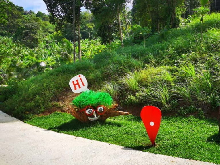 Phuket: Rock Beach Swing Entry Ticket - The Experience: From Swing to Scenic Walkways