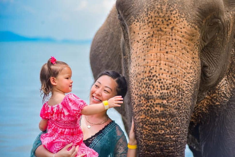 Phuket:Beach walk with elephants, rain & care. 2.5 hours - The Value: Is It Worth It?