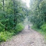 Phulchoki bird-watching tour - In-Depth Look at the Tour Experience