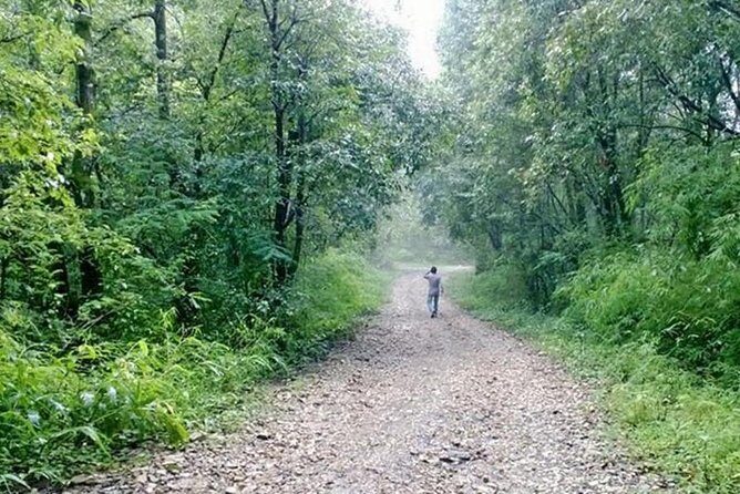 Phulchoki bird-watching tour - In-Depth Look at the Tour Experience