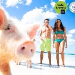 Pig Feeding, Kayaking, Snorkeling Trip at Pig Island By Speedboat From Koh Samui - The Realities of the Tour Experience