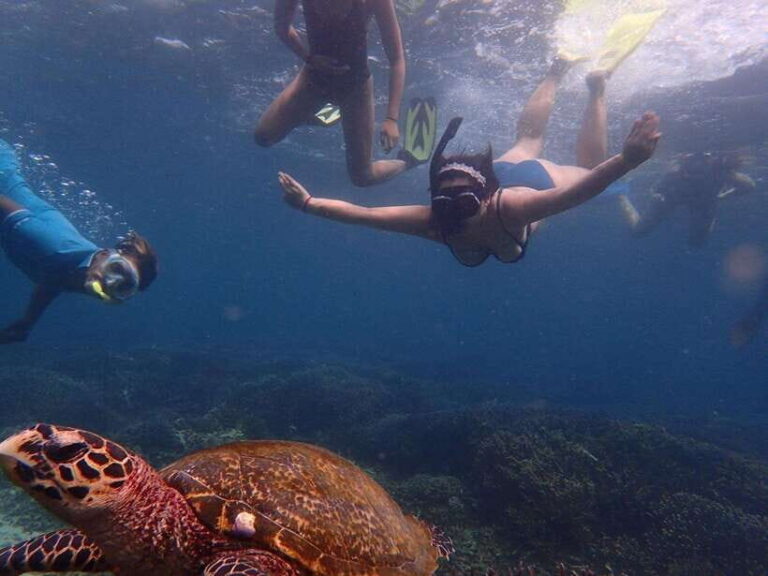 Pigeon Island Snorkeling Tour from Uppuveli Beach - A Thorough Look at the Snorkeling Tour
