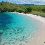 Pink Beach Lombok Snorkeling Tour - The Sum Up: Who Will Love This Tour?