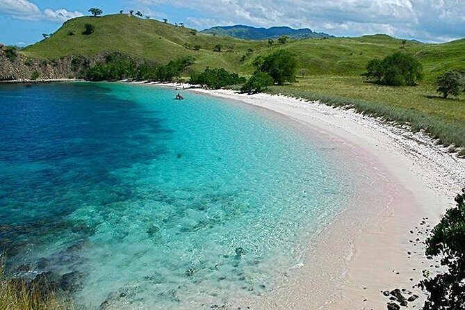 Pink Beach Lombok Snorkeling Tour - The Sum Up: Who Will Love This Tour?