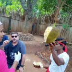 Pinnawala: Authentic Cooking Class in Palapoluwa Village - Who This Tour Is Best For