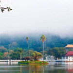 Pinnawala & Kandy Day Tour from Negombo - Authentic Experiences Highlighted by Travelers