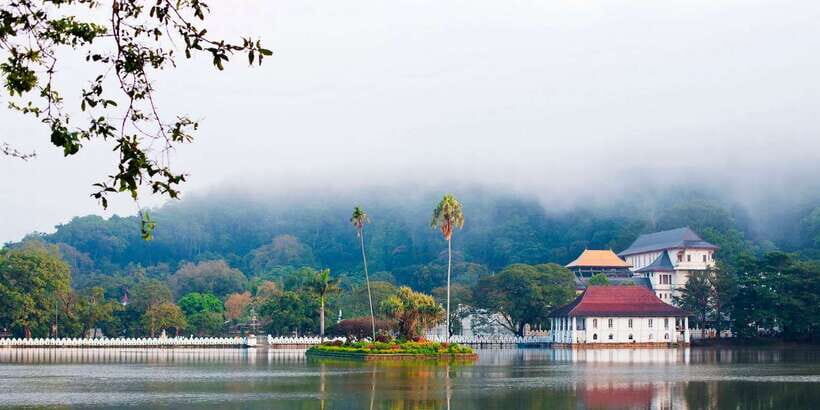 Pinnawala & Kandy Day Tour from Negombo - Authentic Experiences Highlighted by Travelers