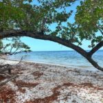 Pirate Adventure in Florida - FAQs