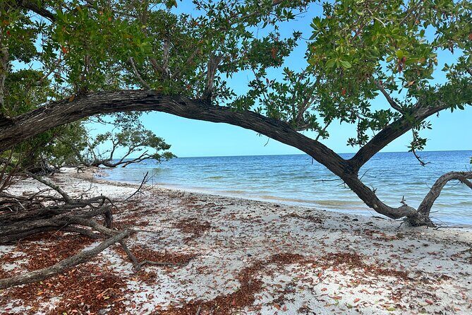 Pirate Adventure in Florida - FAQs