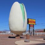 PistachioLand Farm Tour - Why PistachioLand Stands Out