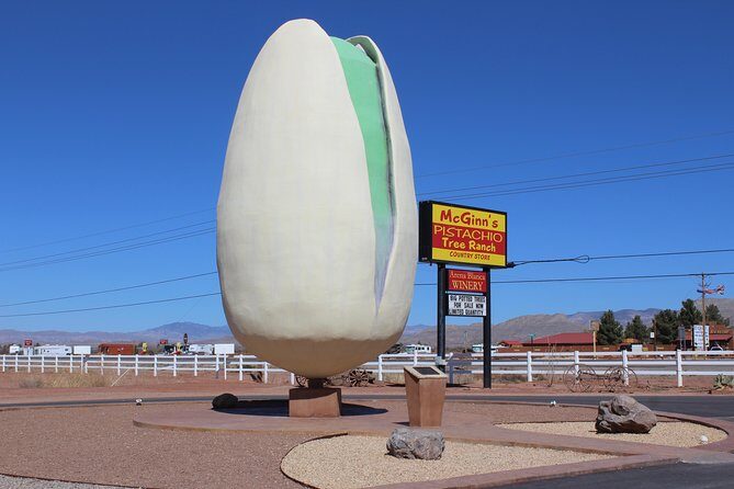 PistachioLand Farm Tour - Why PistachioLand Stands Out