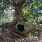 Plain of jars private tour - An In-Depth Look at the Plain of Jars Private Tour