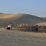 Pleasant Sunset Safari With Dinner On Dunes (From 2:00 PM to Approx. 10:00 PM) - Who Is This Tour For?