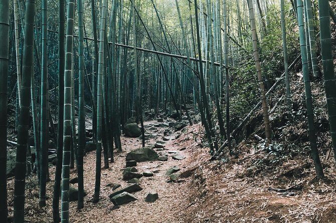 Plog and Hike Mount Mogan Nature Reserve  Guided Outdoor Tour from Hangzhou - FAQ