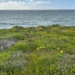 Point Loma Tide Pool Tour - Who Will Love This Tour?
