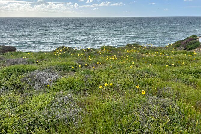 Point Loma Tide Pool Tour - Who Will Love This Tour?