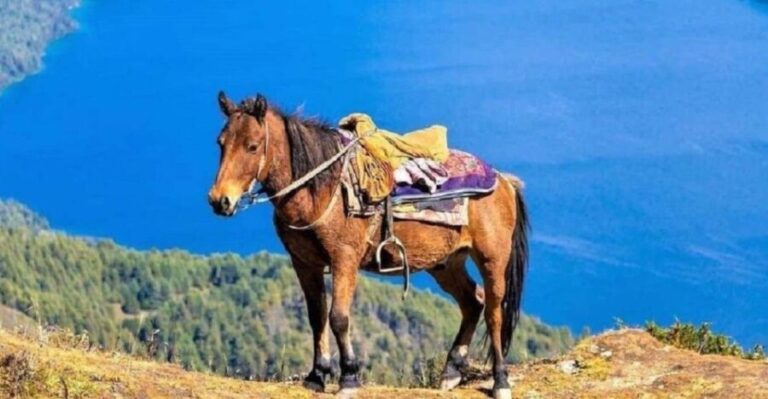 Pokhara: 1-Hour Horseback Ride with Hotel Pickup - A Thorough Look at the Experience