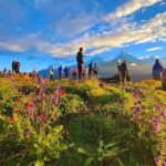 Pokhara: 3- days Poon Hill Trek - Authentic Experience and Practical Details