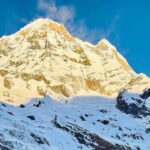 Pokhara: Annapurna Base Camp Trek & Wildlife Safari Tour - Practical Insights: What Makes This Tour Stand Out?