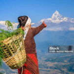 Pokhara: Begnas Lake Hike - The Trek Begins: Forests, Villages, and Terraced Fields