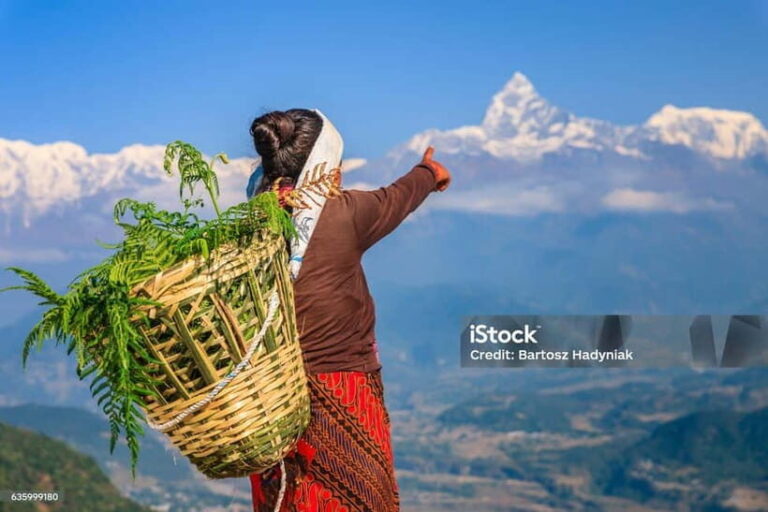 Pokhara: Begnas Lake Hike - The Trek Begins: Forests, Villages, and Terraced Fields