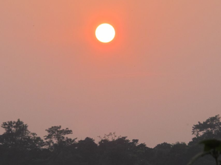 Pokhara: Day Hike to Australian Camp and Dhampus Village - Breaking Down the Itinerary: What to Expect at Each Step