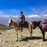 Pokhara: Horseback Riding Adventure with Hotel Pickup - What to Expect During the Tour