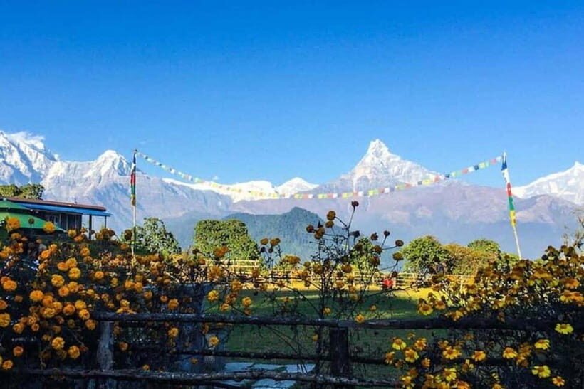 Pokhara: Poon Hill Trek - In-Depth Look at the Poon Hill Trek Experience