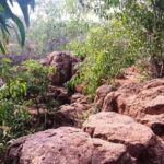 Pondicherry: Tropical Dry Evergreen Forest Guided Walk - FAQ about the Pondicherry Tropical Dry Evergreen Forest Guided Walk