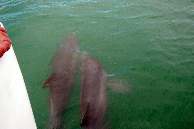 Pontoon Sightseeing and Shelling Excursion to Keeywaydin Island - Frequently Asked Questions