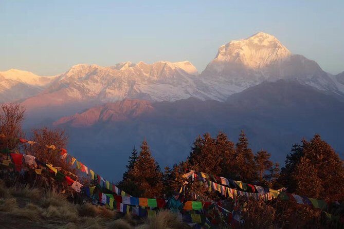 Poon Hill Trek - 04 Days - Why This Tour Offers Great Value