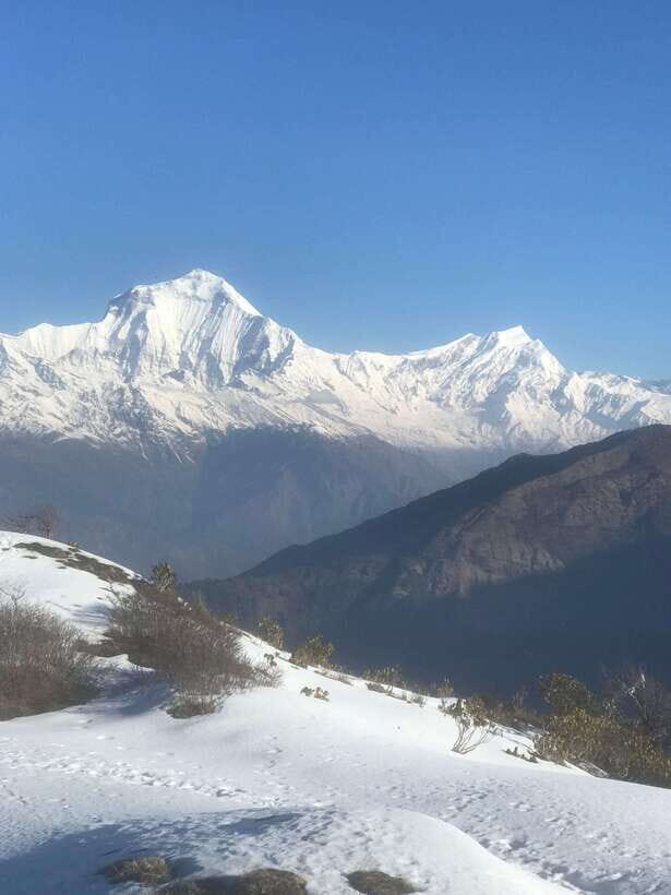 Poon hill Trek 1 Night 2 Days - Authentic Cultural Encounters
