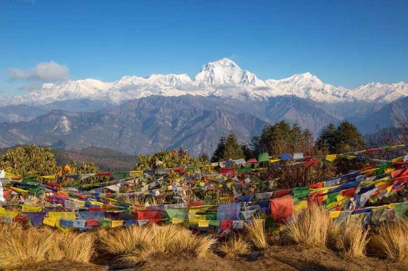 Poon Hill Trek 2 days - A Close Look at the 2-Day Poon Hill Trek