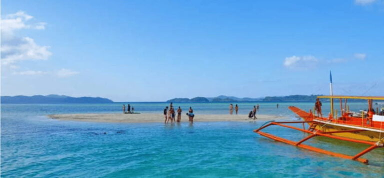 Port Barton: Island Hopping to Turtle Spot & Reef with Lunch - Who Will Enjoy This Tour?