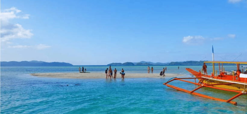 Port Barton: Island Hopping to Turtle Spot & Reef with Lunch - Who Will Enjoy This Tour?