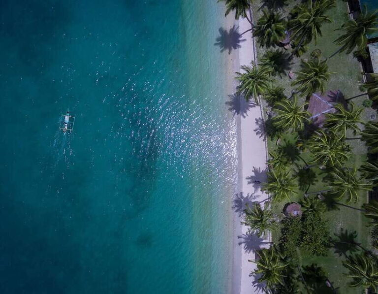 Port Barton: Island Hopping to Turtle Spot & Reef with Lunch - Who Will Love This Tour?