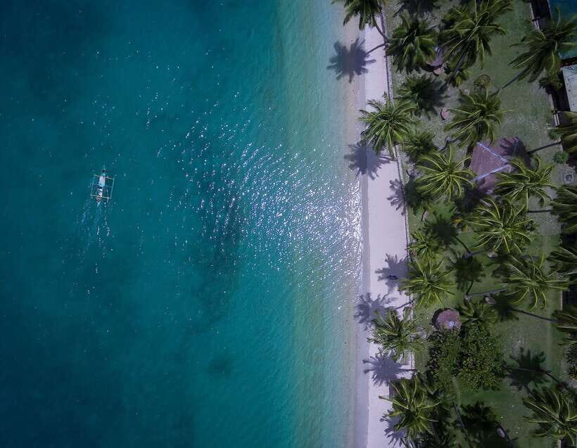 Port Barton: Island Hopping to Turtle Spot & Reef with Lunch