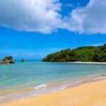 Port Pick-Up: Naha Private Tour Licensed Guide Vehicle - Key Points