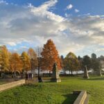 Post Cruise Vancouver Private Car Tour - Authenticity and Real-World Experience