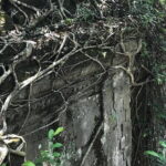 Preah Vihear, Koh Ker And Beng Mealea Off Beaten Track - An In-Depth Look at the Tour Experience