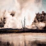 Predators of the Wild, Bear and Wolf Watching Adventure - The Sum Up: Who Should Consider This Tour?