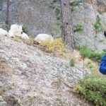 Premiere Private Black Hills Tour: Mt Rushmore, Crazy Horse & Custer State Park - Authentic Experiences and Review Highlights