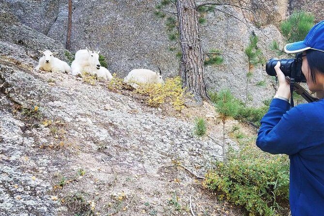 Premiere Private Black Hills Tour: Mt Rushmore, Crazy Horse & Custer State Park - Authentic Experiences and Review Highlights