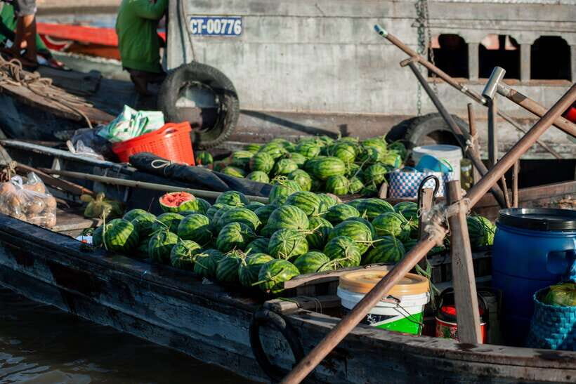 Premium Can Tho Floating Market - Fruit Garden - Cacao Farm - A Closer Look at the Tour Experience